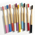 Eco- Friendly Multiple Color Soft Bristles Round Handle Natural Bamboo Toothbrush